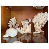 WST100- Beautiful Coral & Sea Shell Lot