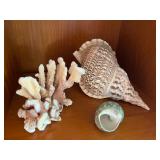 WST101-The Ocean Is Calling (Sea Shells Lot)