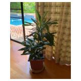 KDE036 Beautiful Potted Plant & Plant Stand