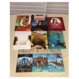 MMT013 Nine Children’s Hawaiian Hardcover Books #5