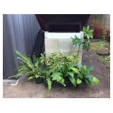 MMT195 Ten Beautiful Potted Plants