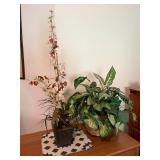 MLC089- Faux Orchid & Indoor Plant