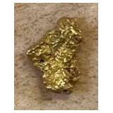 HTS265 22k Gold Nugget