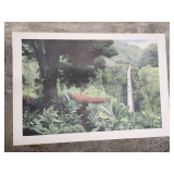 HTS630 Akaka Falls by Gary Reed Print #2 Sample