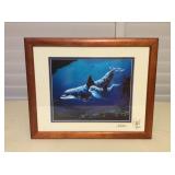 MCT060 Koa Framed Picture Of Dolphins