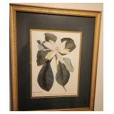 WWS021 - Framed And Matted "Magnolia" Print