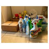 WWS111- Mystery Cleaning Supplies Lot