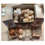 SJP010- (3) Boxes Of Shells