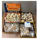 SJP022 Four Boxes Of Conical Shells