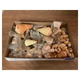 SJP024 Box Of Conical Seashells