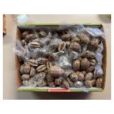 SJP028- Box Of Arabian Cowry Shells
