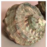 SJP034 - FIVE GREEN TURBO SHELLS