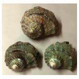 SJP036 - THREE GREEN TURBO SHELLS