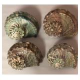 SJP037 - FOUR GREEN TURBO SHELLS