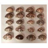 SJP044 - TWENTY TIGER COWRY SHELLS
