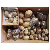 SJP048- Box Of Shells