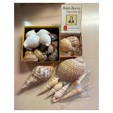 SJP050- Collection Of Shells