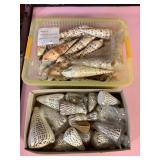 SJP058 Two Boxes Of Shells