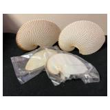 SJP060- Paper Nautilus Shells