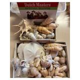 SJP073- Shells Shells Shells