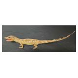 SJP075 - Stuffed Caiman