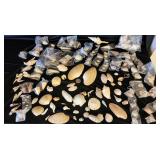 SJP083 - Assorted Sea Shells 