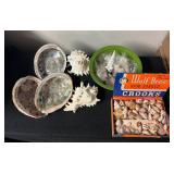 SJP094- Abalone & Murex Ramosa Shells