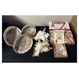 SJP095- Abalone, Murex Ramosa & Assorted Shells
