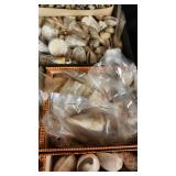 SJP097 - Assorted Sea Shells