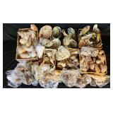 SJP098 - Assorted Sea Shells 