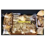 SJP111 - Assorted Sea Shells And More