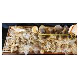 SJP112 - Assorted Sea Shells 