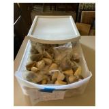 SJP126 Bin Of Beautiful Yellow Cone Shells