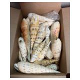 SJP147- Box Of Marlin Spikes