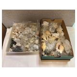 SJP156- Boxes Of Shells