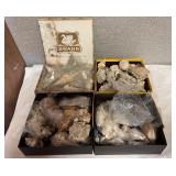 SJP159- (4) Boxes Of Assorted Shells