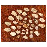 SJP172 - 39 ASSORTED SMALL SEASHELLS