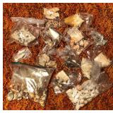 SJP173 - 75+ ASSORTED SMALL SEASHELLS