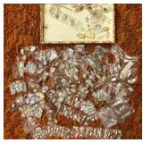 SJP174 - 150+ ASSORTED LITTLE SEASHELLS