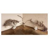 SJP222 - Trio of Large Natural Black Coral Trees