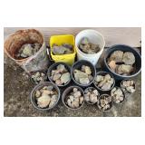 SJP254 - Buckets Of Olivine Infused Rocks