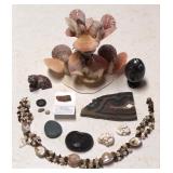 SJP676 - DECORATIVE COLLECTIBLE STONES AND SHELLS