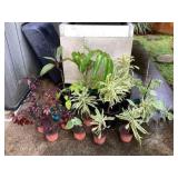 MTH218 Sixteen Beautiful Potted Plants