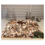 MTH223 Large Collection Of Seashells & Sea Glass
