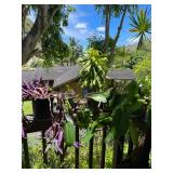 PFG089- Purple Heart, And Others 