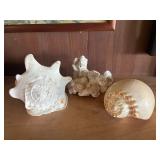 PFG134- Assorted Shells Including Conch Shells