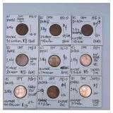 DFT116-US Pennies With Errors