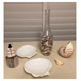 MTT211 Nautilus Shell, Sea Urchin Snowman & More!