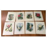 PCT072 - Eight Vintage Hawaii Flower Prints by Mund Ott? Ted Mundorff
