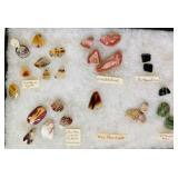 HPT006 Various Cut Gemstones - Agate/ Jade Ready for Jewelry Making